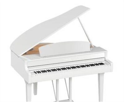 雅马哈电钢琴CLP-795GP